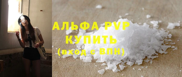 СК Сосновый Бор