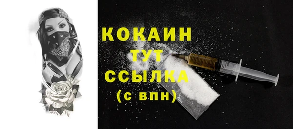СК Сосновый Бор