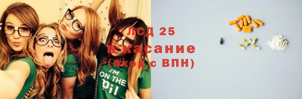 СК Сосновый Бор