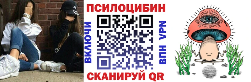 Галлюциногенные грибы Cubensis  Купить  Ржев 